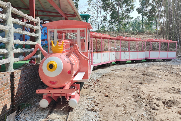 electric full size trains for amusement parks